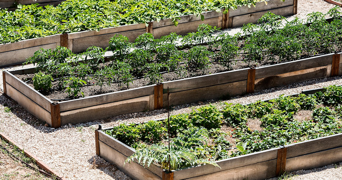 Construcción Consciente - Dos en uno