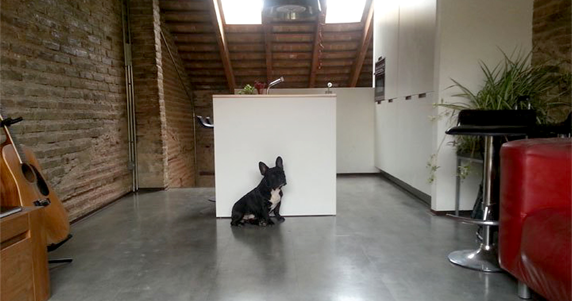 Construcción Consciente - Rehabilitación de vivienda